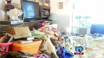 Is a dirty house neglect?