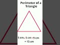 Perimeter of a Triangle #shorts