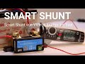 *** Smart Shunt von Victron Energy im Test ***