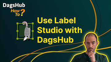 DagsHub integration with Label Studio - Demo