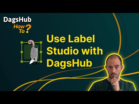 DagsHub integration with Label Studio Demo