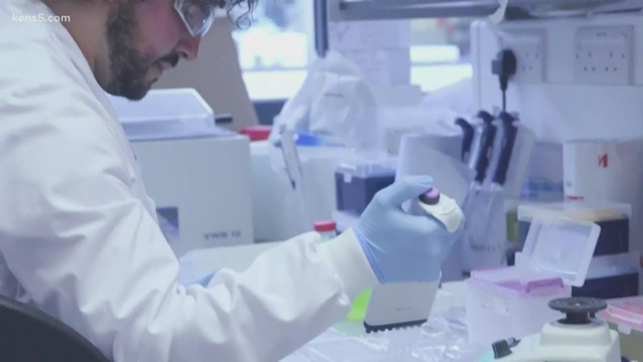 Pfizer to seek emergency approval from FDA for coronavirus vaccine