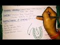 Male genital organs (part 2)- Scrotum- Anatomy