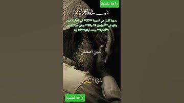 سورة النمل #اكسبلور #قرآن #لايك #دويتو #المصحف #حالات_واتس #راحة_نفسية #trending #fyp #explore