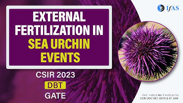 External Fertilization in Sea Urchin Events | CSIR NET, DBT JRF, GATE | IFAS