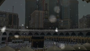 Surat Al-Ahqaf - Sheikh: Muhammad Ayyub/سورة الاحقاف - الشيخ : محمد ايوب