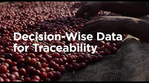 Decision-Wise Data for Traceability. Committee on Sustainability Assessment