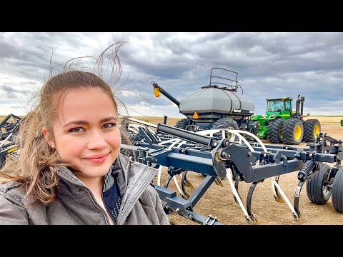 Montana Mega Drought! - Do We Replant Wheat??? 2022