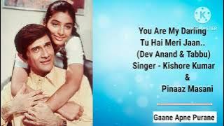 You are my darling tu hai meri jaan |Song Dev Anand & Tabbu - Hum Naujawan 1985