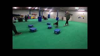 Juni 5 containers lids on by Jennie Murphy 13 views 3 weeks ago 54 seconds