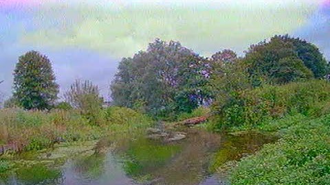 Tinyhawk 2 Freestyle   My bravest River run