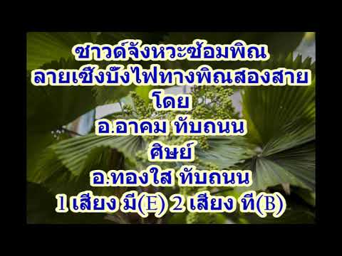ซาวด์จังหวะซ้อมพิณลายเซิ้งบั้งไฟทางพิณสองสาย