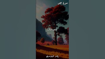 بداية سورة عبس بصوت ياسر الدوسري 🤍