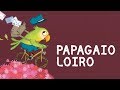 Papagaio loiro - Comptine du Brésil avec paroles et traduction