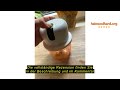 Produktbewertung YdseozOA Elektrischer Küchenzerkleinerer, Zwiebelzerkleinerer elektrisch 350 ml, US