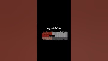 ستوريات دينيه /🌱/إنا أنزلناه في ليلة القدر وما أدراك ما ليلة /🌱/حالات واتس آب قرآن/آيات قرانية قصيرة