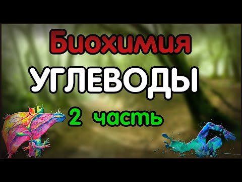 Биохимия. Лекция 48. Углеводы. Превращение фруктозы и галактозы в глюкозу. Гликогенез. Гликогенолиз.