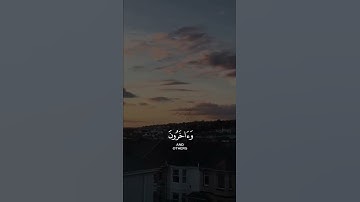 الشيخ ماهر المعيقلي ... ماتيسر من سورة المزمل