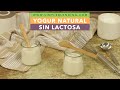YOGUR CASERO NATURAL SIN LACTOSA | Cómo preparar yogur casero sin lactosa | Yogurtera Luvele