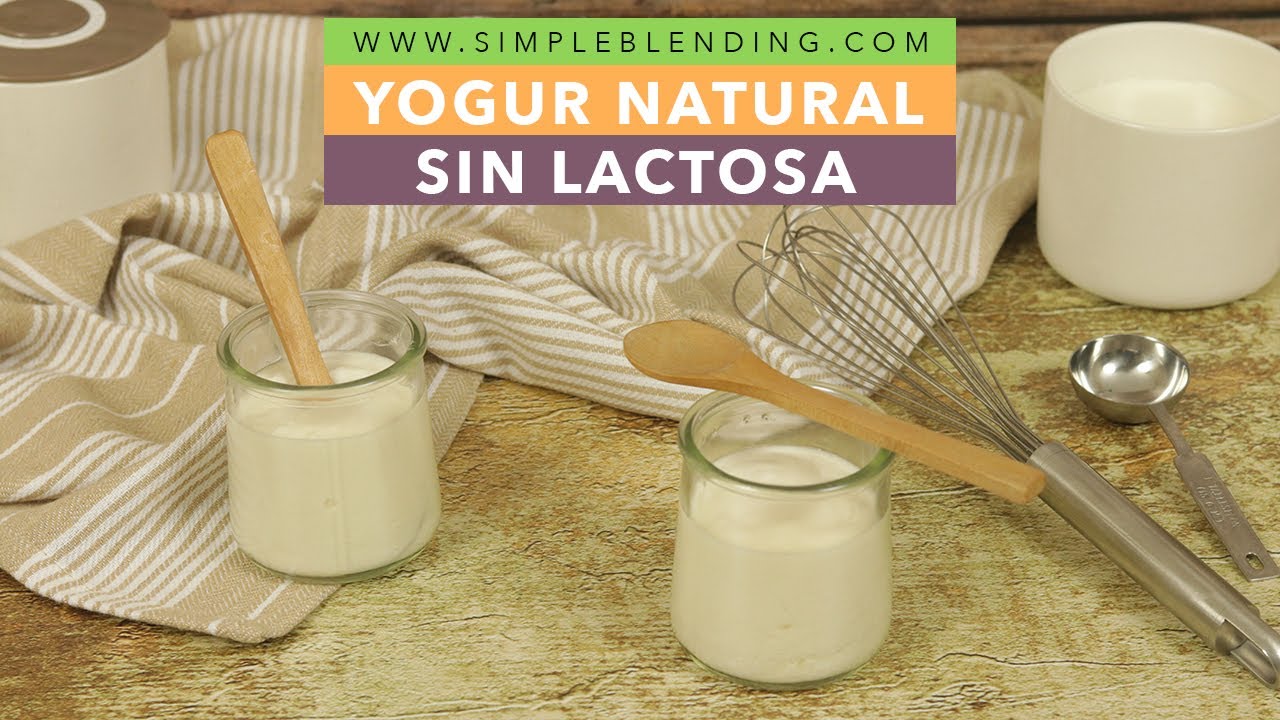 YOGUR CASERO NATURAL SIN LACTOSA, Cómo preparar yogur casero sin lactosa
