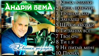 Кращі українські пісні. Андрій Бема - Квітка розлуки. Популярні пісні 2000!