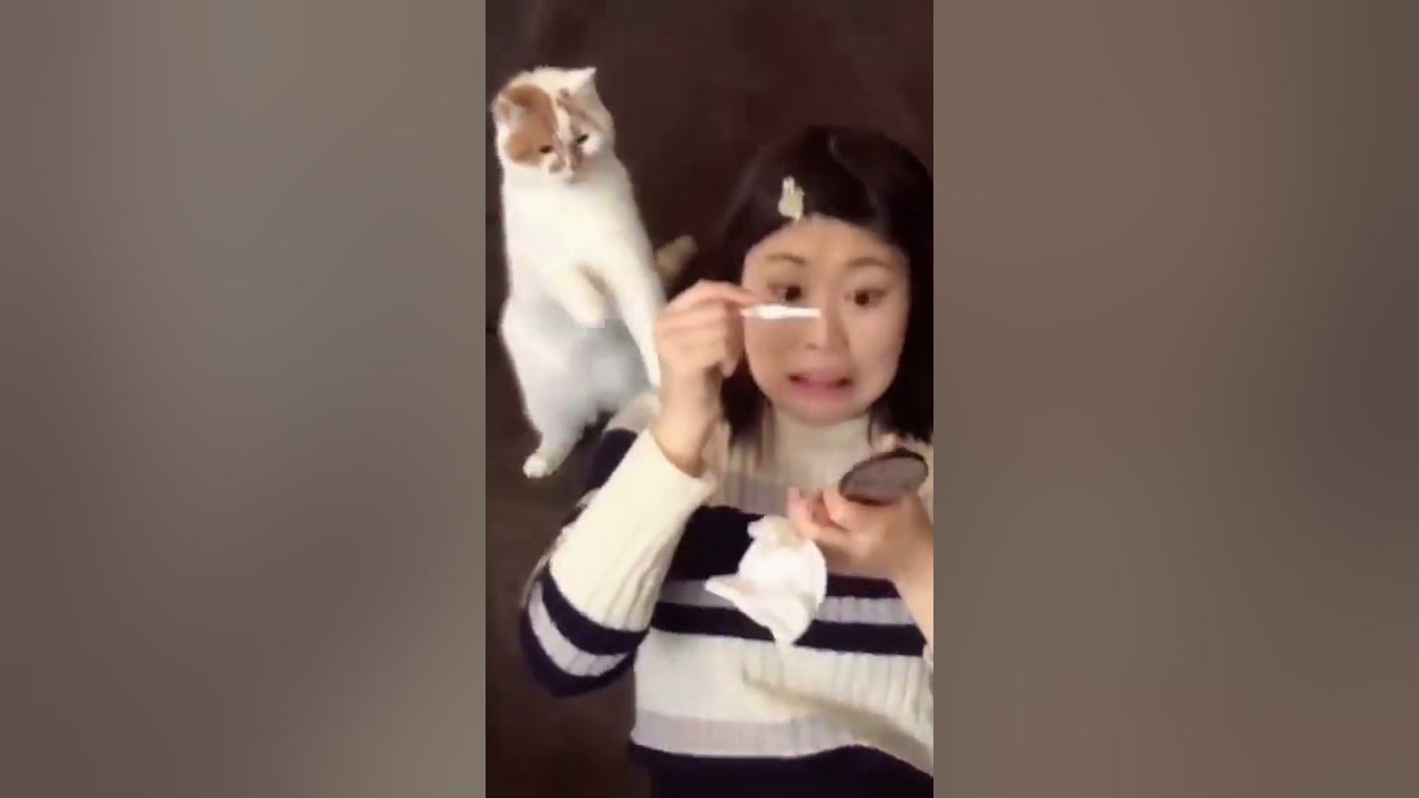 How to educate your kitten to pee in the litter box Shorts YouTube