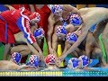 Croatia vs Montenegro - Euro Waterpolo Men Champ. 2020 - Preliminary, Day 2