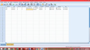 IBM SPSS Tutorial Cómo Ingresar Datos