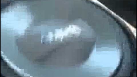 12vdb.com - car audio database: Infinity Reference12.8