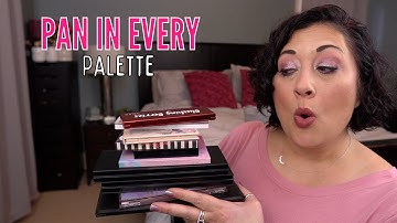 Pan in Every Palette Project Pan & Project Level Up | Update #36! #projectlevelup #panineverypalette