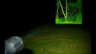 Bushnell HD Torch Flashlight