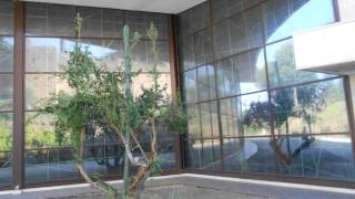 Le Chiese Di Roma 30