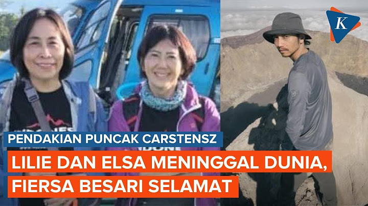 Kronologi Lilie dan Elsa Meninggal di Puncak Carstensz, Fiersa Besari Selamat