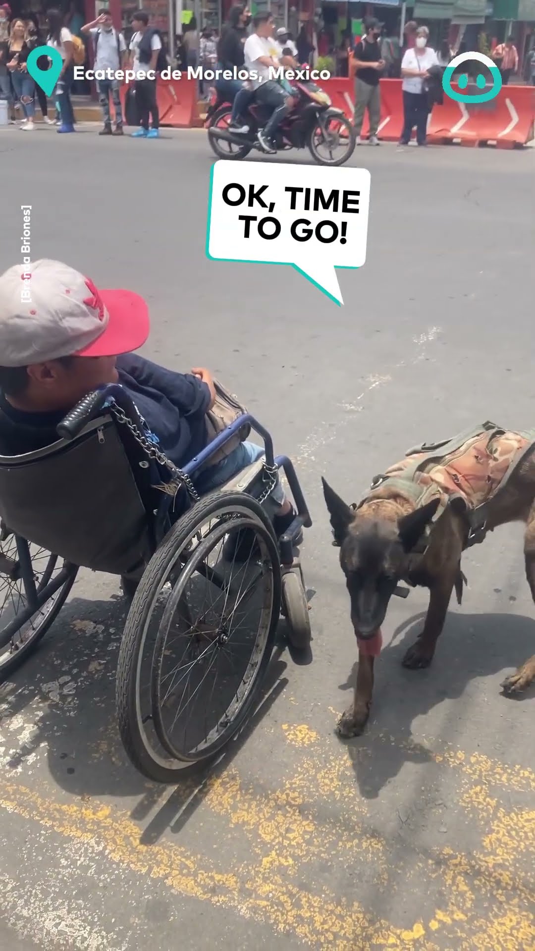 Dog Pushes Owner's Wheelchair To Cross The Street || ViralHog