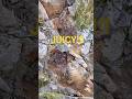 Juicy Bedrock! #oregon