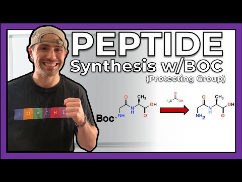 Peptide Synthesis with the Boc Protecting Group