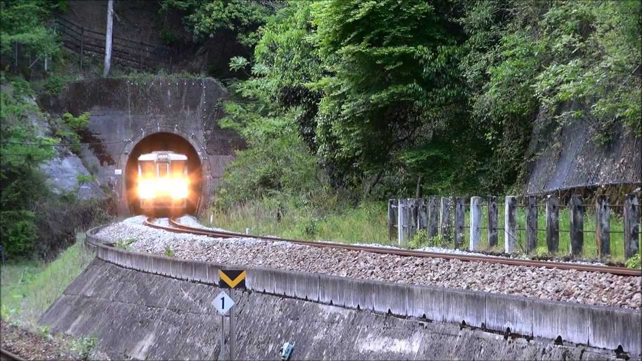 JR四国 土讃線 振り子特急　南風 & 駅アナウンス　坪尻駅 2013.5