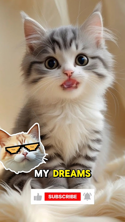 Baby, I Saw You in My Dream! 😻💞 #CuteCat #CatLover #DreamyKitty #AdorablePets