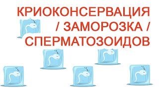 Криоконсервация / заморозка сперматозоидов / Доктор Черепанов
