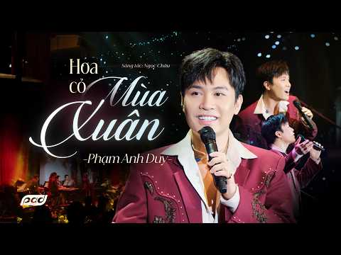 HOA CỎ MÙA XUÂN (Bảo Chấn) - Phạm Anh Duy | Live at Phòng Trà Bến Thành
