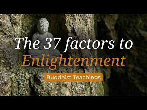 The 37 Factors to Enlightenment | Buddhist Wisdom for Freedom from Suffering