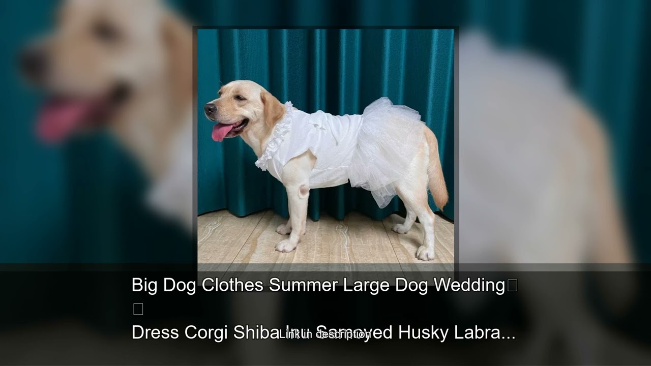 Big Dog Clothes Summer Large Dog Wedding Dress Corgi Shiba Inu Samoyed Husky Labrador Golden Re