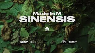 Made in M – Sinensis Resimi
