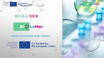 BioLaMer - An EIC Pathfinder Open project