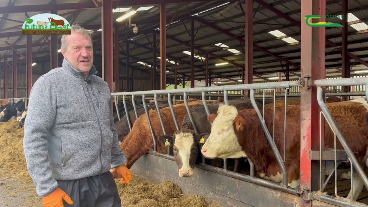 Calving facilities, equipment & hygiene on Future Beef Programme Participant Wesley Browne’s Farm