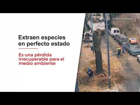 Beneficios y destrucción
