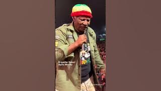 Brigadier Sabari - Alpha Blondy ❤️💛💚 #reggae #reggaemusic #brigadiersabari #alphablondy