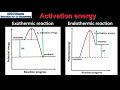 Activation Energy Explained Through Real-World Examples and Energy Profiles