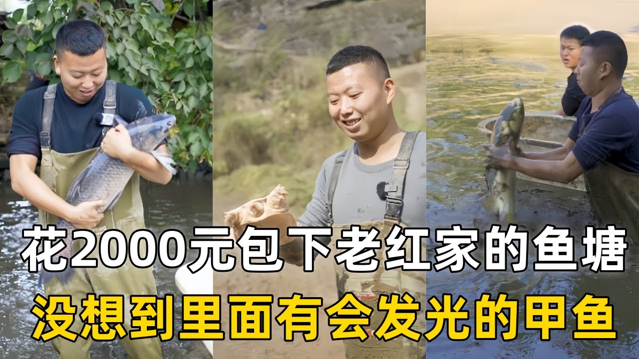 小飞哥花2000元包下老红家的鱼塘，没想到里面有会发光的甲鱼？｜花2400元包下个小水库，没想到里面的鱼这么多？