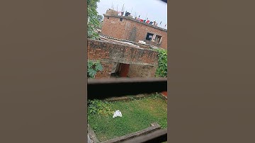 My first vlog video #shorts #ytshorts